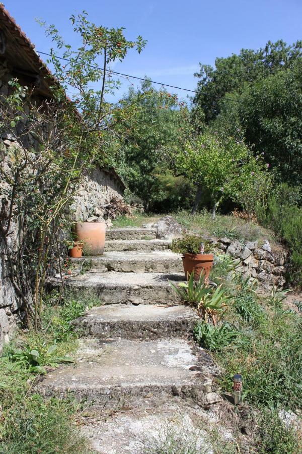 Les Gites Du Mazel Champis Exteriér fotografie